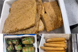 Tuyên Quang phát hiện gần 2 tạ giò, chả chứa chất cấm