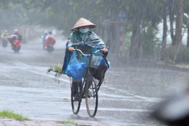 Thời tiết 18/5: Miền Bắc có mưa rào vào chiều tối và đêm