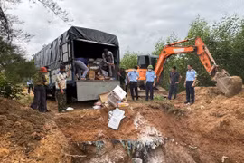 Quảng Trị tiêu hủy hơn 5,3 tấn thực phẩm nhập lậu