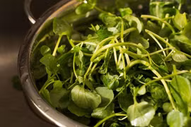 Tác dụng của rau cải xoong đối với sức khỏe