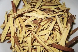 Thu hồi lô dược liệu Cam thảo không đạt chất lượng