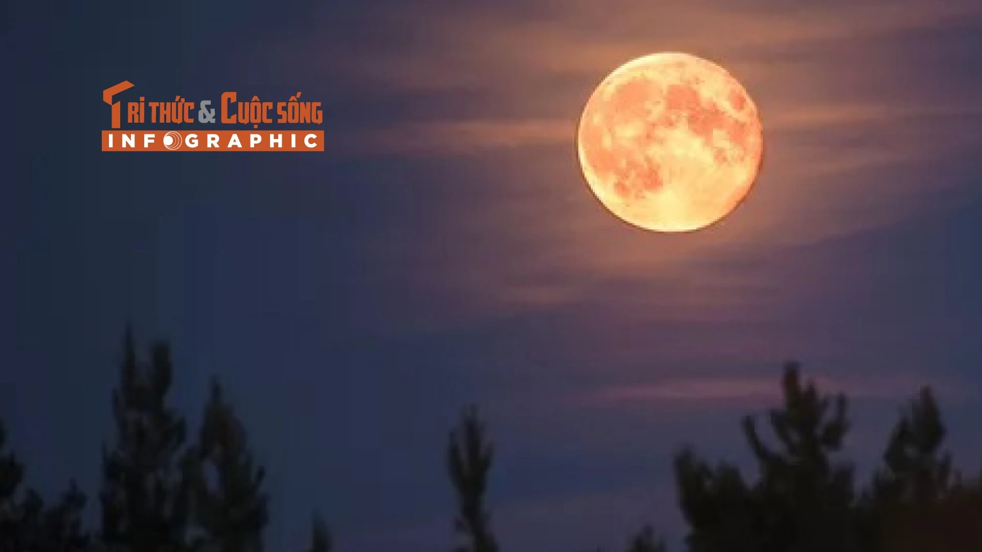 [INFOGRAPHIC] "Trăng Dâu tây" sắp bùng nổ trên bầu trời