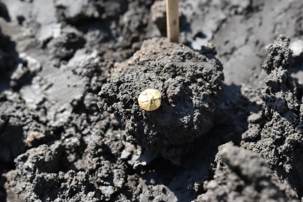 Phát hiện kho báu chứa đầy vàng bạc trong khu định cư cổ