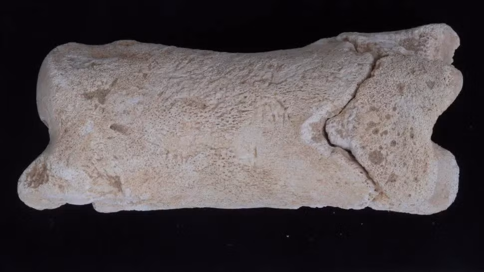 Bí ẩn cuộc sống người canh giữ lăng mộ qua chiếc còi xương cổ