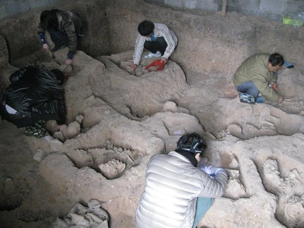 Bằng chứng chấn động về thuật ướp xác người cổ xưa nhất thế giới