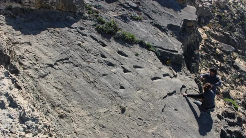 Phát hiện dấu chân 78.000 năm tuổi lộ bí mật bất ngờ