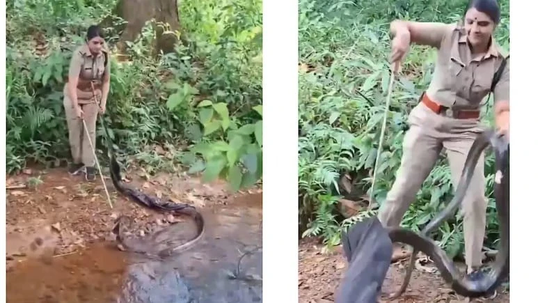 Rùng mình cảnh sĩ quan Ấn Độ tay không giải cứu rắn khổng lồ