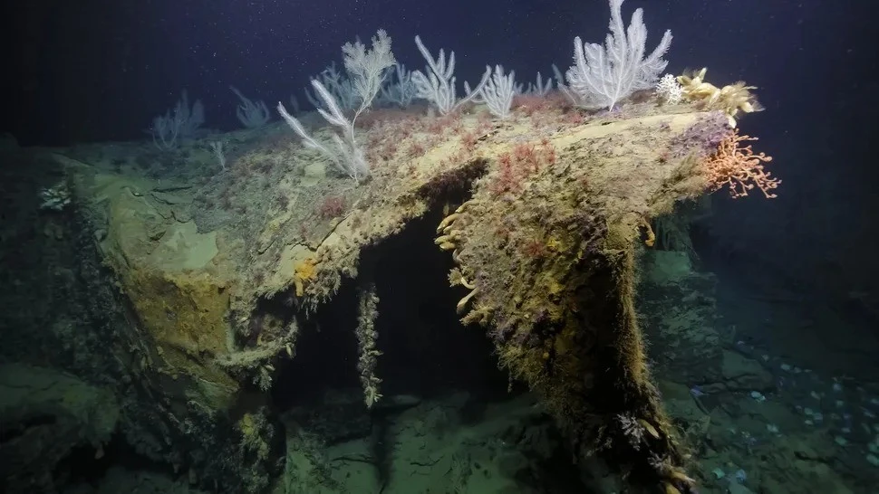 Tìm thấy mũi tàu Mỹ bị đánh chìm trong Thế chiến khốc liệt