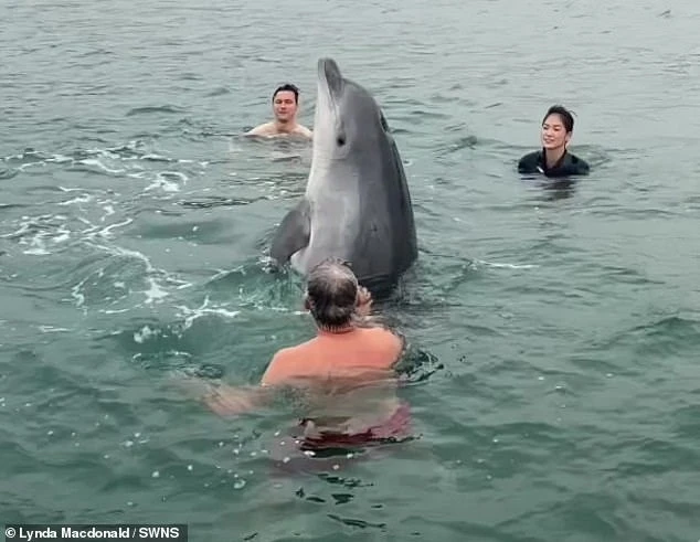 Thích thú cá heo mũi chai nô đùa cùng một gia đình ở Vịnh Lyme