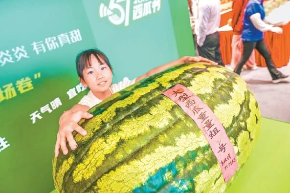 Dưa hấu "quái vật" 100kg ở Trung Quốc thế giới choáng váng