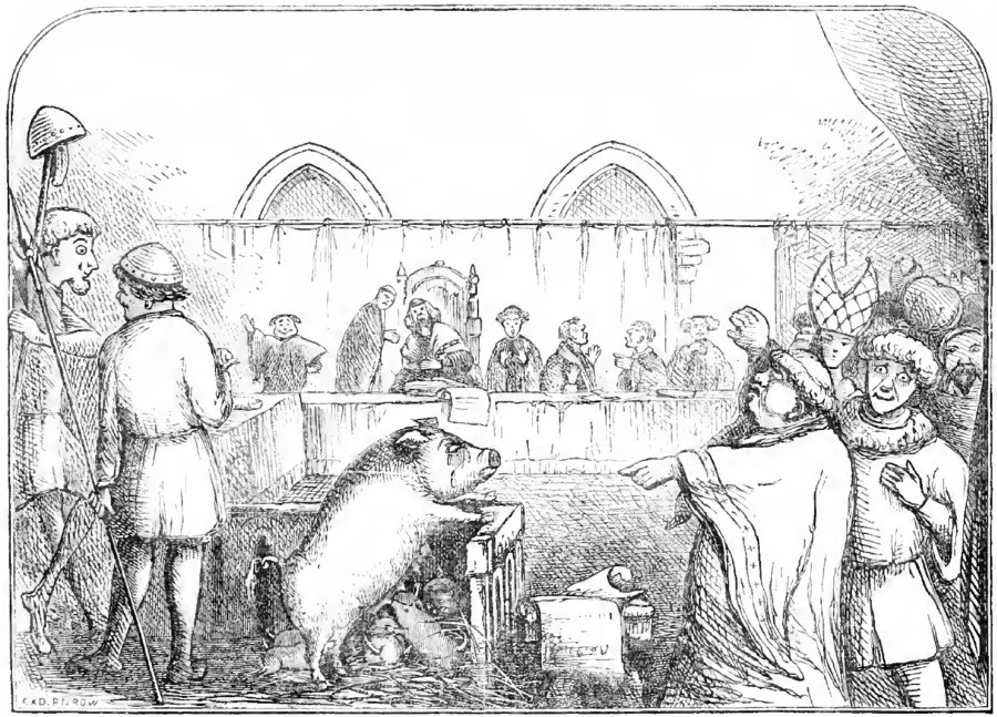 Bí ẩn phiên tòa xử động vật kỳ quái nhất thời Trung cổ