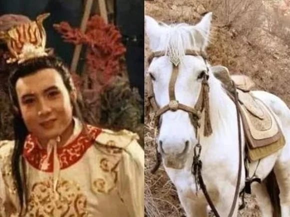 Vì sao Tam Thái tử Long cung không giúp Ngộ Không cầu mưa?