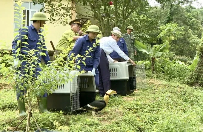 Thả nhiều động vật quý hiếm về rừng Phong Nha - Kẻ Bàng