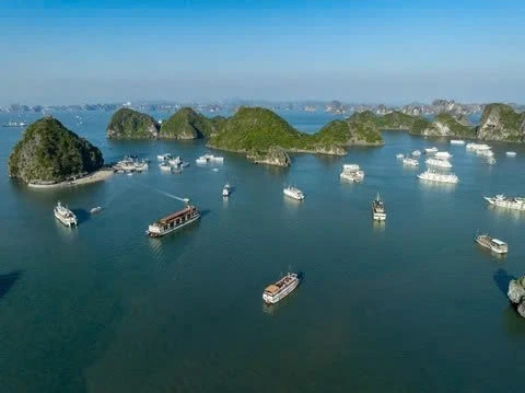 Du khách nước ngoài tử vong khi ăn trên tàu du lịch Hạ Long
