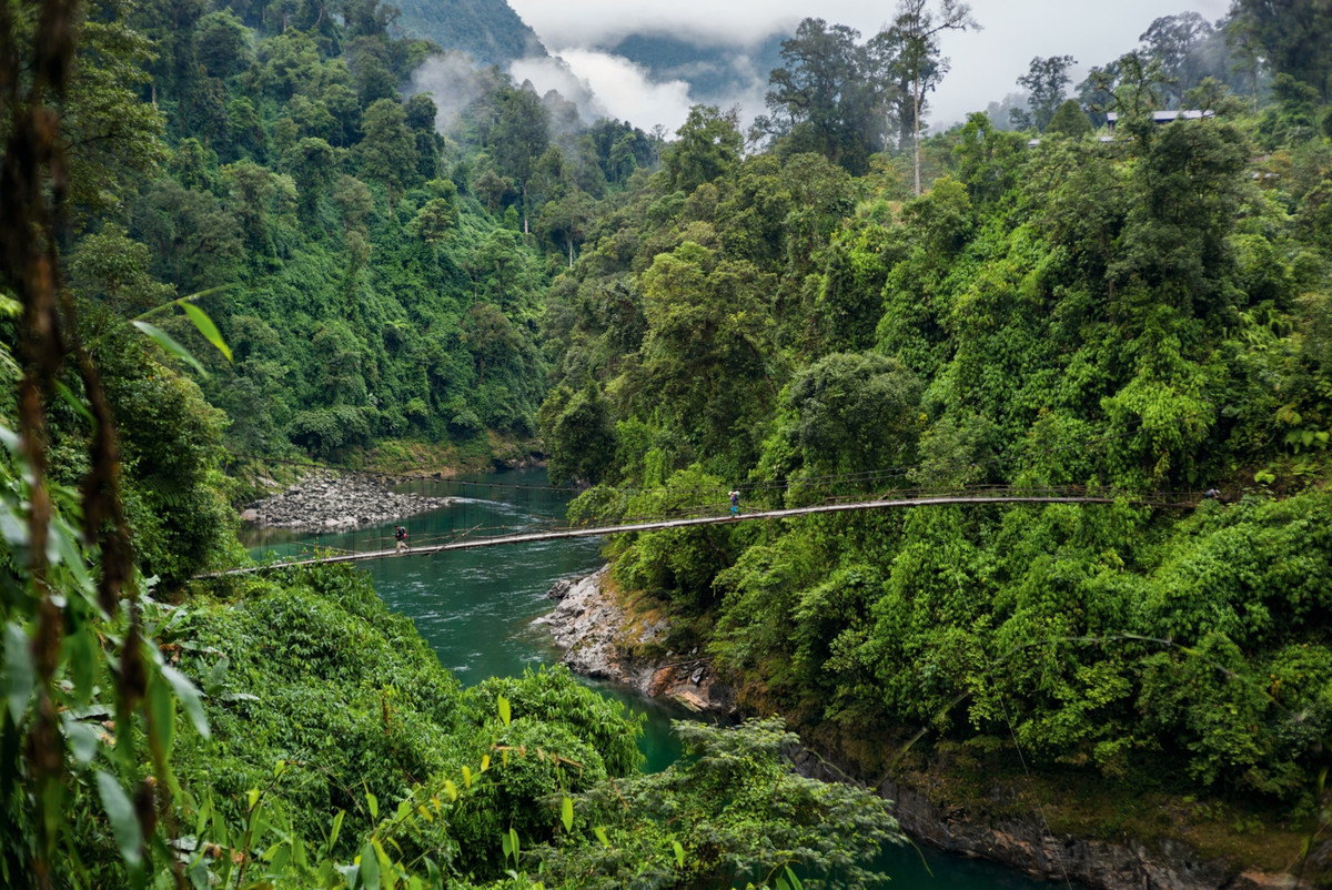  Là điểm giao thoa độc đáo của nhiều vùng sinh học. Vườn quốc gia này nằm giữa ranh giới sinh học Đông Himalaya và Đông Nam Á, tạo nên sự đa dạng sinh thái hiếm có. Ảnh: natgeofe.com.