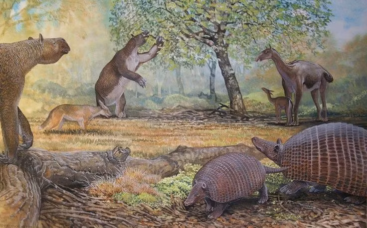  Sống theo đàn nhỏ. Bằng chứng hóa thạch cho thấy chúng có thể di chuyển theo nhóm để tăng cơ hội sinh tồn và bảo vệ con non. Ảnh: Pinterest.