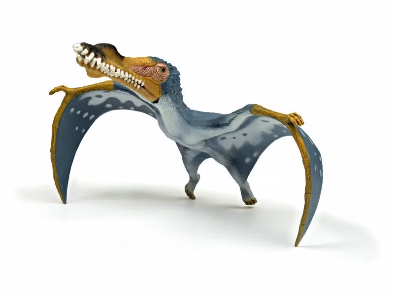  Một trong những pterosaur nổi tiếng nhất Nam Mỹ. Nhờ các hóa thạch được bảo tồn tốt và hình dạng đặc biệt, Anhanguera trở thành một trong những loài bò sát bay nổi tiếng nhất được nghiên cứu ở Nam Mỹ. Hình ảnh của nó thường xuất hiện trong sách khoa học, bảo tàng và các bộ phim tài liệu về thế giới tiền sử. Ảnh: dinosaurpictures.org.