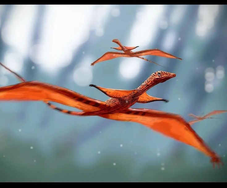  Nổi tiếng với cấu trúc “cánh sau” độc nhất. Khác với chim hay dơi, Sharovipteryx không có cánh phát triển từ chi trước mà sở hữu màng da lớn kéo dài từ chân sau, tạo nên cơ chế bay lượn chưa từng thấy. Ảnh: Pinterest.