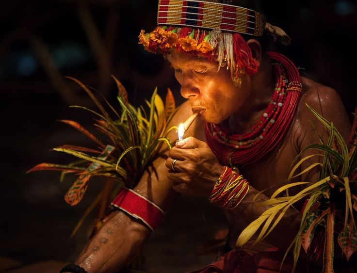  Giao lưu với thế giới khá muộn. Mãi đến thế kỷ 20, người Dani mới được thế giới bên ngoài biết đến rộng rãi khi các nhà thám hiểm tiếp cận khu vực này. Ảnh: Pinterest.