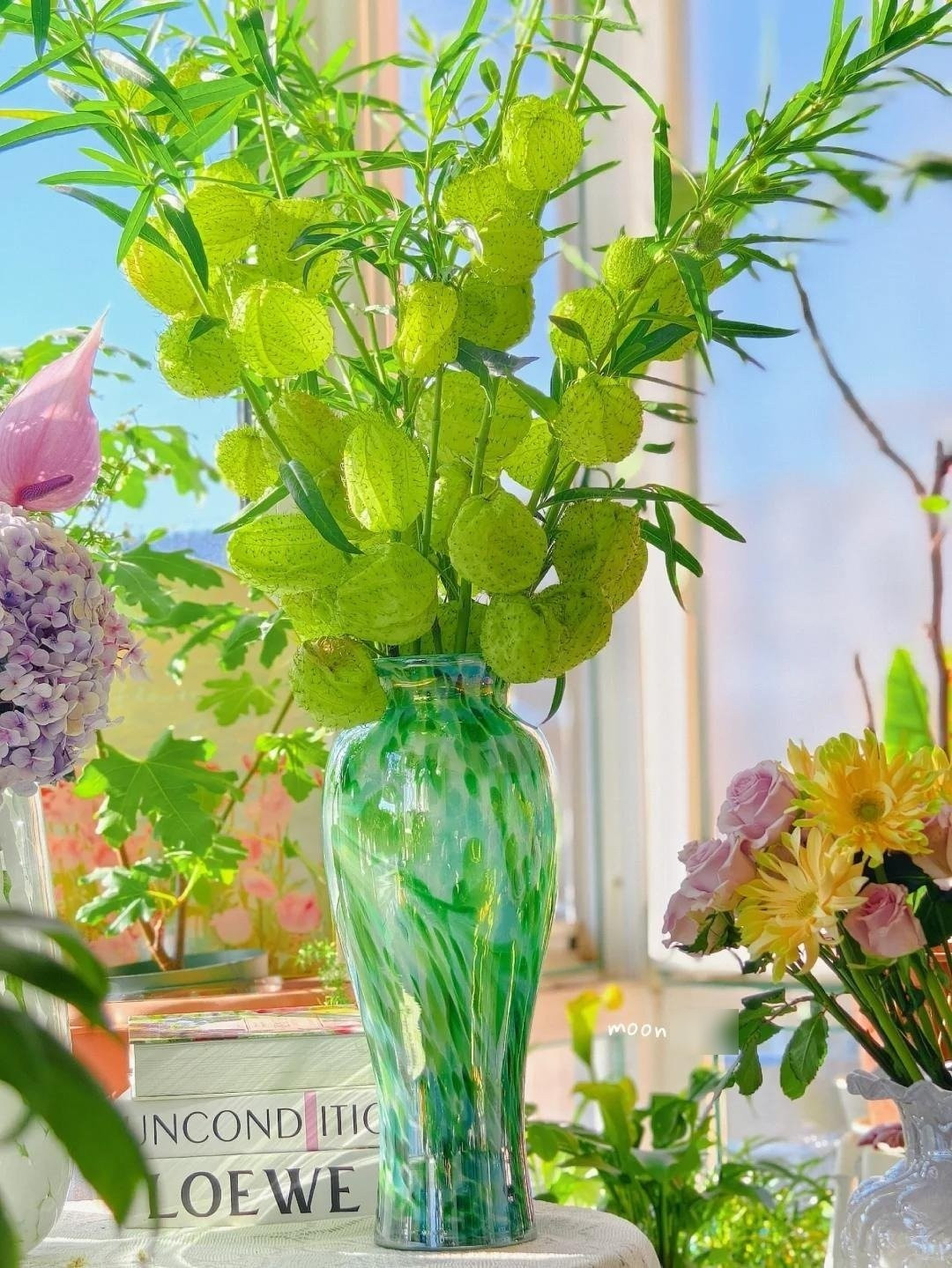 Chiều cao cây thường từ 1,2–1,8m, thân mảnh khảnh, màu xanh vàng nhạt, mang lá thuôn dài 8–10cm, hơi có mùi vani. Vào mùa hè, cây nở hoa hồng hoặc tím, thu hút ong, bướm và đặc biệt là bướm chúa.