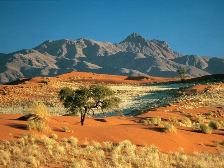  Trải rộng qua nhiều quốc gia. Kalahari bao phủ diện tích lớn trải dài qua Botswana, Namibia và Nam Phi, tạo nên một trong những hệ sinh thái liên quốc gia rộng lớn nhất khu vực. Ảnh: Pinterest.
