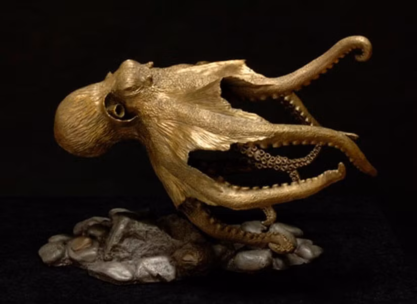 Các nhà khoa học đã khám phá được bạch tuộc có khả năng nhớ trong ngắn hạn và dài hạn. Chúng có thể phân biệt được hình dạng, bắt chước được mọi hoạt động của vật thể sau khi quan sát. Khả năng trốn thoát của bạch tuộc phải gọi là bậc thầy bởi chúng vô cùng thông minh.