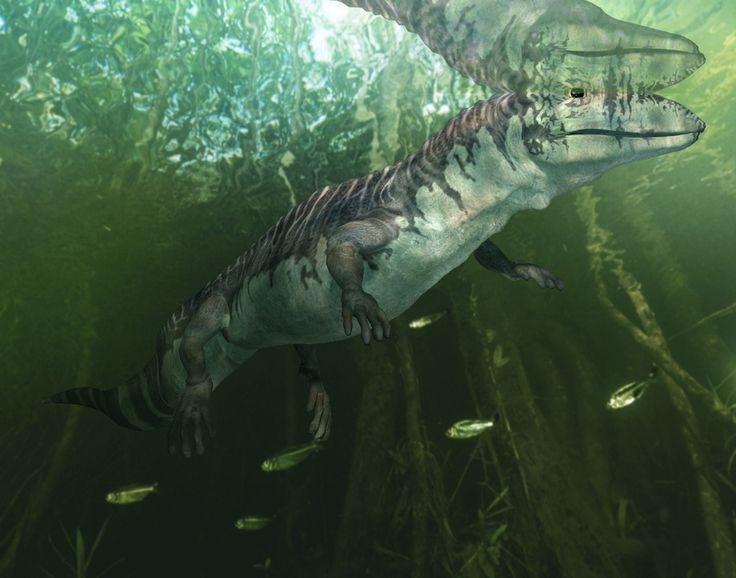  Sống vào kỷ Carbon sớm. Proterogyrinus tồn tại cách đây hơn 330 triệu năm, rất lâu trước khi khủng long xuất hiện. Ảnh: Pinterest.