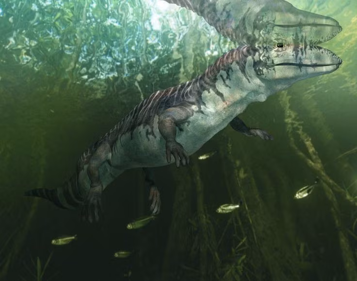  Sống vào kỷ Carbon sớm. Proterogyrinus tồn tại cách đây hơn 330 triệu năm, rất lâu trước khi khủng long xuất hiện. Ảnh: Pinterest.