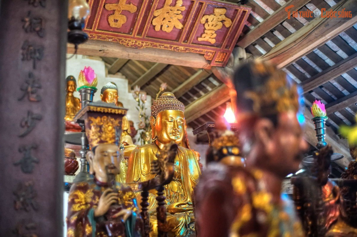 Được xem là bảo tàng sống của Phật giáo làng quê. Chùa Nôm không chỉ mang giá trị tôn giáo mà còn là nơi lưu giữ sinh động lịch sử, mỹ thuật và đời sống tinh thần của cư dân đồng bằng Bắc Bộ qua nhiều thế kỷ.