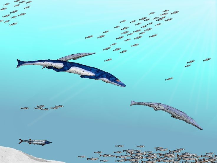  Có khả năng điều chỉnh muối. Geosaurus được cho là có tuyến muối, giúp thích nghi với môi trường biển mặn. Ảnh: Pinterest.