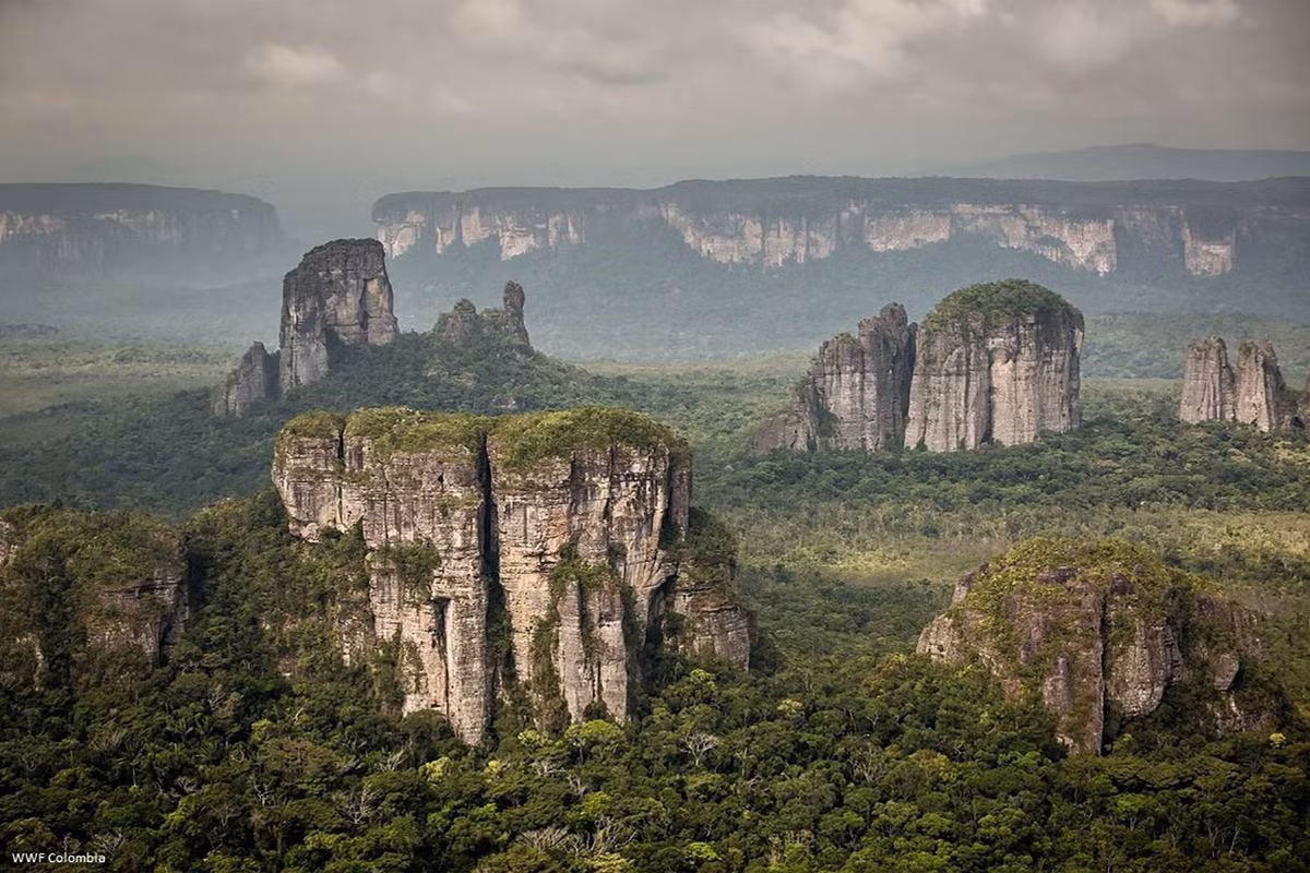  Chiribiquete là một trong những vùng hoang sơ nhất hành tinh. Nhiều khu vực chưa từng có dấu chân con người hiện đại, giúp hệ sinh thái gần như nguyên vẹn. Ảnh: Pinterest.