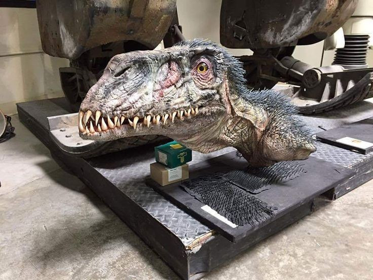 Có hai loại răng khác nhau trong miệng. Tên “Dimorphodon” nghĩa là “răng hai dạng”, vì loài này có cả răng nhỏ và răng lớn để bắt mồi. Ảnh: Pinterest.