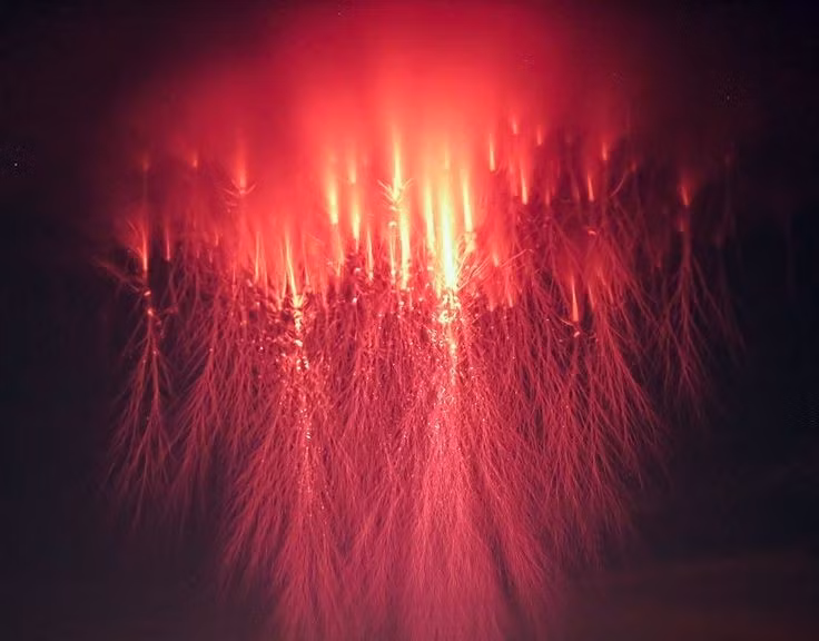  2. Sprite là dạng phổ biến và dễ quan sát nhất. Sprite thường có màu đỏ, xuất hiện thành cụm và trông như những xúc tu sứa khổng lồ lóe sáng trên bầu trời cao hơn tầng mây dông. Ảnh: Pinterest.