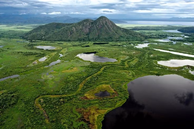 Vùng đất ngập nước lớn nhất hành tinh. Pantanal có diện tích khoảng 210.000 km², vượt xa nhiều hệ sinh thái ngập nước khác và được xem là lá phổi xanh khổng lồ của thế giới. Ảnh: Pinterest.