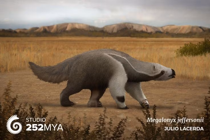  Chủ yếu ăn thực vật. Chế độ ăn của Megalonyx gồm lá cây, cành non và các thực vật rừng thưa. Ảnh: Pinterest.