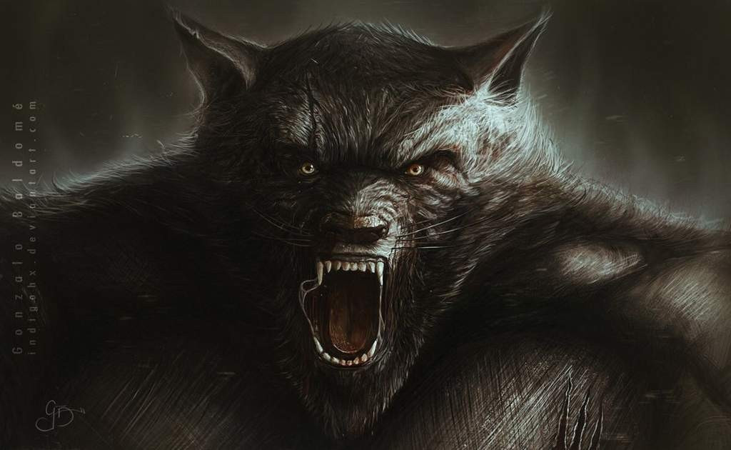  Truyền thuyết vẫn sống trong văn hóa Bắc Cực. Ngày nay, Amarok vẫn được nhắc đến trong nghệ thuật Inuit và trở thành biểu tượng tinh thần của người dân vùng băng giá. Ảnh: aminoapps.com.