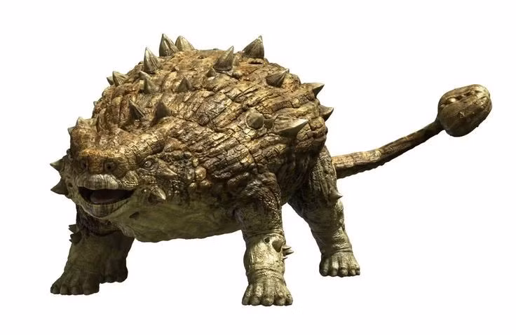  2. Đuôi của Ankylosaurus là một vũ khí đáng sợ. Chiếc đuôi giống như chùy nặng, có thể được dùng để đánh gãy xương của kẻ thù trong lúc tự vệ. Ảnh: Pinterest.