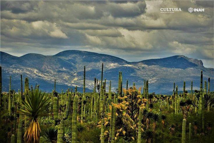  Cảnh quan được hình thành qua hàng triệu năm địa chất. Thung lũng, vách đá và cao nguyên trong vườn quốc gia phản ánh quá trình kiến tạo địa chất lâu dài, tạo nên địa hình ngoạn mục và đa dạng. Ảnh: Pinterest.