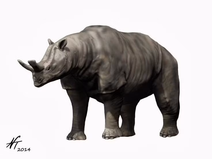  Thuộc họ Brontotheriidae đã tuyệt chủng. Megacerops là thành viên tiêu biểu của họ Brontotheriidae, nhóm thú móng guốc cổ đại có họ hàng xa với ngựa và tê giác, nhưng đã hoàn toàn biến mất khỏi Trái Đất. Ảnh: Pinterest.