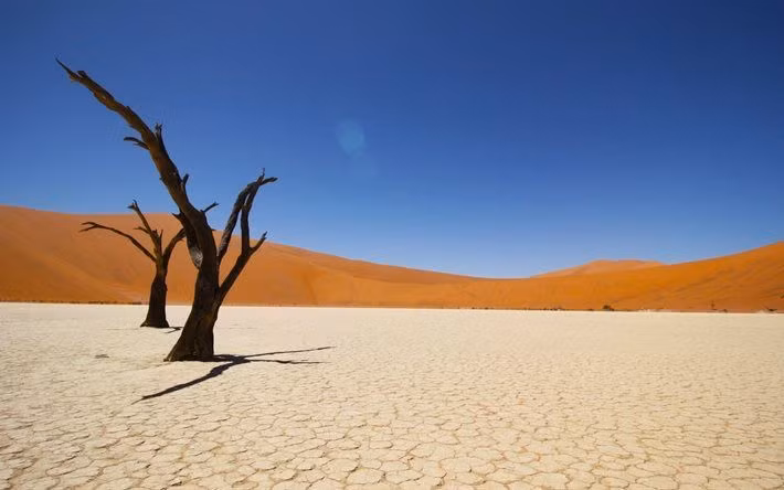  1. Là sa mạc cổ nhất hành tinh. Sa mạc Namib đã tồn tại liên tục suốt khoảng 55 đến 80 triệu năm, vượt xa tuổi thọ của bất kỳ sa mạc nào khác trên Trái Đất. Ảnh: Pinterest.