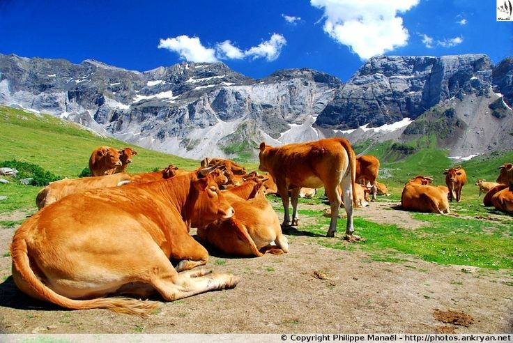  Được UNESCO công nhận cả giá trị tự nhiên và văn hóa. Năm 1997, khu vực này được ghi danh là Di sản thế giới nhờ cảnh quan núi đá vôi hùng vĩ, đồng thời tôn vinh hình thức canh tác chăn thả truyền thống lâu đời của con người. Đây là ví dụ hiếm về sự tương tác hài hòa giữa thiên nhiên và con người. Ảnh: Pinterest.