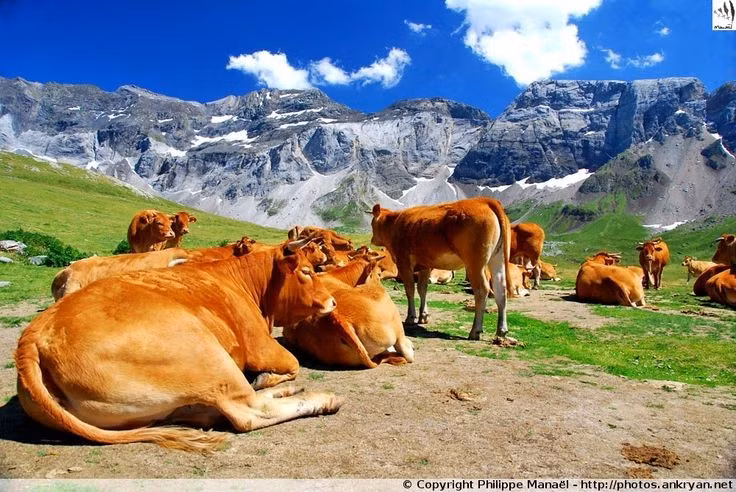  Được UNESCO công nhận cả giá trị tự nhiên và văn hóa. Năm 1997, khu vực này được ghi danh là Di sản thế giới nhờ cảnh quan núi đá vôi hùng vĩ, đồng thời tôn vinh hình thức canh tác chăn thả truyền thống lâu đời của con người. Đây là ví dụ hiếm về sự tương tác hài hòa giữa thiên nhiên và con người. Ảnh: Pinterest.