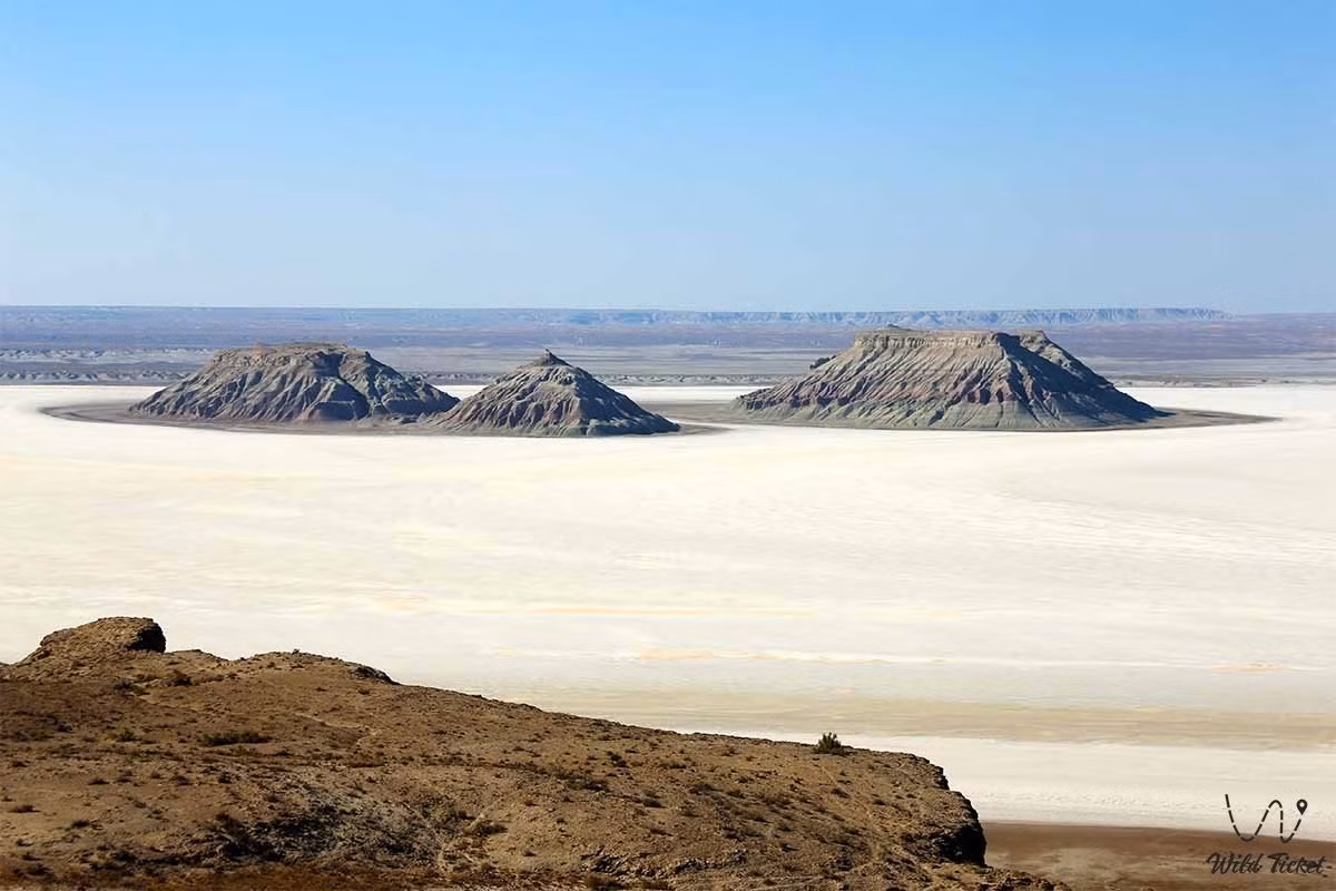  Hệ sinh thái thích nghi đặc biệt. Dù khô cằn, hoang mạc Turan vẫn là nơi sinh sống của nhiều loài động thực vật thích nghi tốt với môi trường khắc nghiệt, như linh dương saiga, cáo sa mạc, thằn lằn và các loài cây bụi chịu hạn. Những loài này đã tiến hóa để tiết kiệm nước và chịu được nhiệt độ khắc nghiệt. Ảnh: wildticketasia.com.