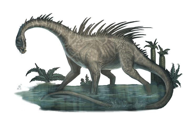  Có hàng chục cuộc thám hiểm tìm kiếm. Từ Anh, Mỹ đến Nhật, nhiều đoàn đã đến Congo nhưng chưa ai chứng minh được sự tồn tại của Mokele-mbembe. Ảnh: Pinterest.