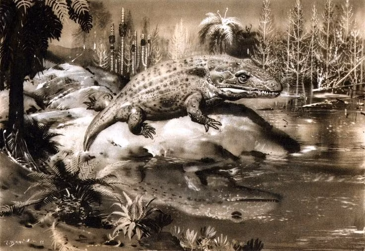  Phổi đơn giản, hô hấp kiểu lưỡng cư. Chúng phải ngoi lên mặt nước để thở, giống nhiều loài ếch tiền sử khổng lồ. Ảnh: Pinterest.