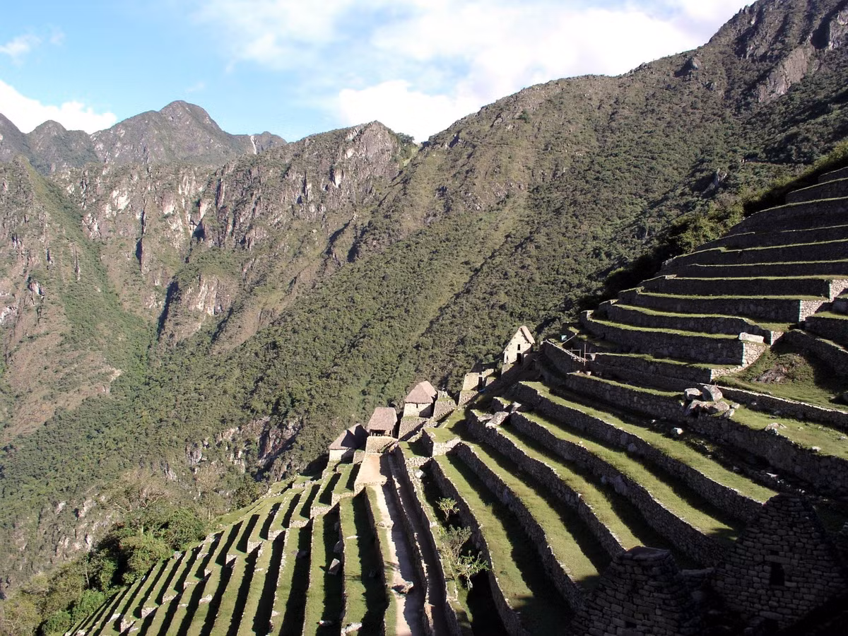  Kỹ thuật canh tác ruộng bậc thang rất phát triển. Người Quechua tạo hệ thống ruộng đá chịu mưa lũ trên dãy Andes. Ảnh: Pinterest.