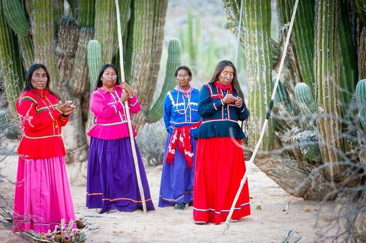  Ngôn ngữ Seri hoàn toàn biệt lập. Tiếng Seri không thuộc bất kỳ hệ ngôn ngữ nào khác tại châu Mỹ, được các nhà ngôn ngữ học xếp vào nhóm ngôn ngữ cô lập, phản ánh quá trình phát triển văn hóa độc lập kéo dài hàng nghìn năm. Ảnh: Pinterest.