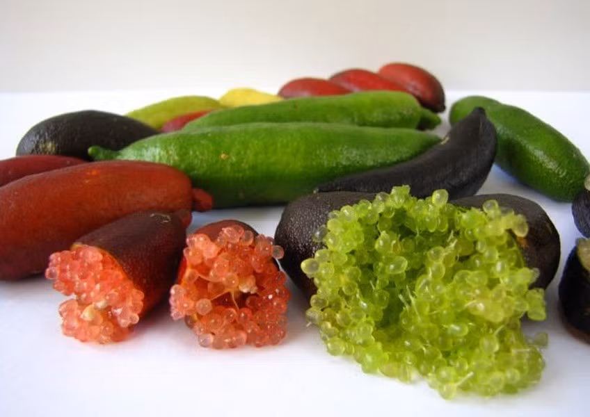 Chanh ngón tay, Australia: Chanh ngón tay có hình thù kỳ lạ, mỗi quả có một màu sắc khác nhau. Nó có nguồn gốc từ các khu rừng nhiệt đới ở Australia nhưng hiện nay được tìm thấy trên khắp thế giới như Nhật Bản, Mỹ, Trung Quốc. Chanh ngón tay có giá 2-3 triệu đồng/kg. Loại chanh này phát triển chậm nhưng lại có vị ngọt dịu, ít chua, giàu chất dinh dưỡng nên trở thành loại quả đắt tiền.