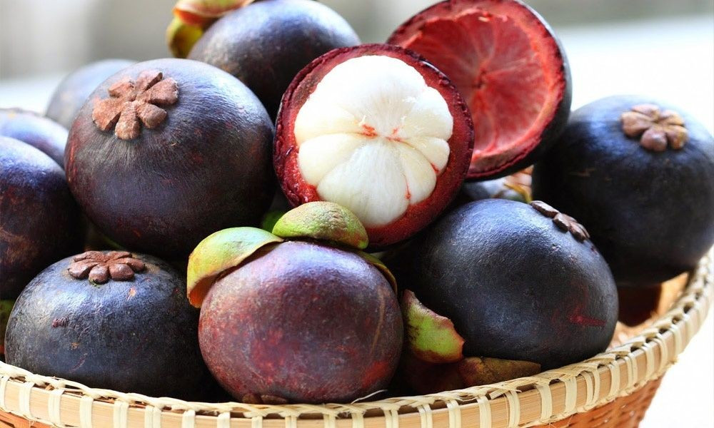  Số múi bên trong có thể đoán từ đáy quả. Nếu quan sát phần đáy của quả măng cụt, người ta sẽ thấy một hình hoa nhỏ gồm nhiều “cánh”. Số cánh này thường tương ứng với số múi bên trong quả. Ví dụ, nếu đáy quả có sáu cánh thì quả thường có sáu múi trắng bên trong. Ảnh: Pinterest.