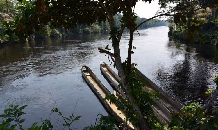  Khó tiếp cận bậc nhất thế giới. Giao thông chủ yếu bằng thuyền, khiến việc nghiên cứu và hoạt động bảo tồn tạo vườn quốc gia Salonga là thách thức lớn. Ảnh: gorillasafarilodges.com.